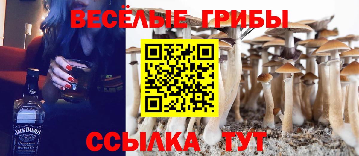 ГАШИШ Надым