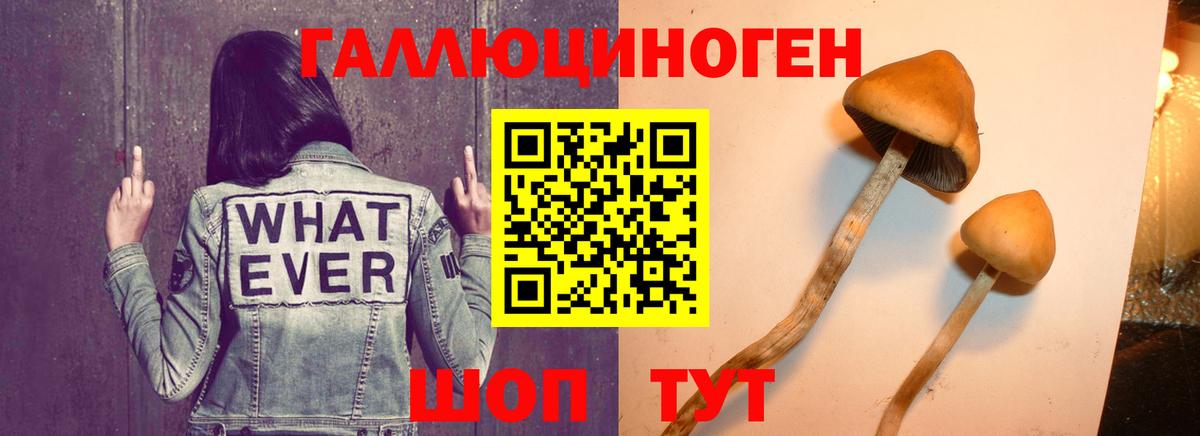 Псилоцибиновые грибы мухоморы Надым
